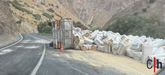 Hakkâri-Van karayolunda saman yüklü TIR devrildi