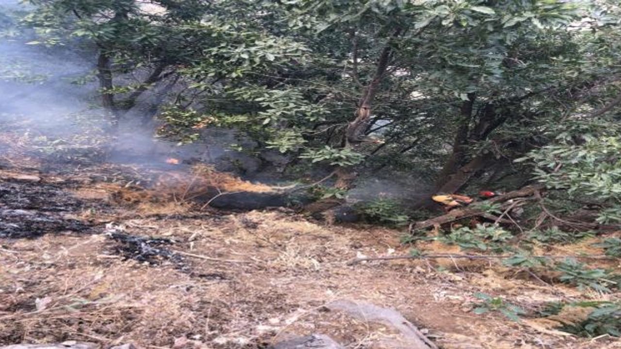 Hakkari'deki orman yangını kontrol altına alındı