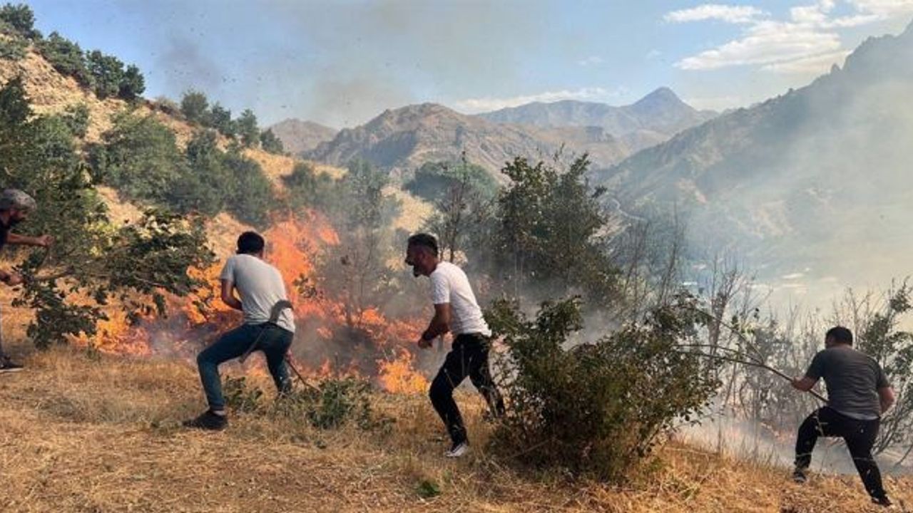 Şemdinli'de orman yangını kontrol altına alındı