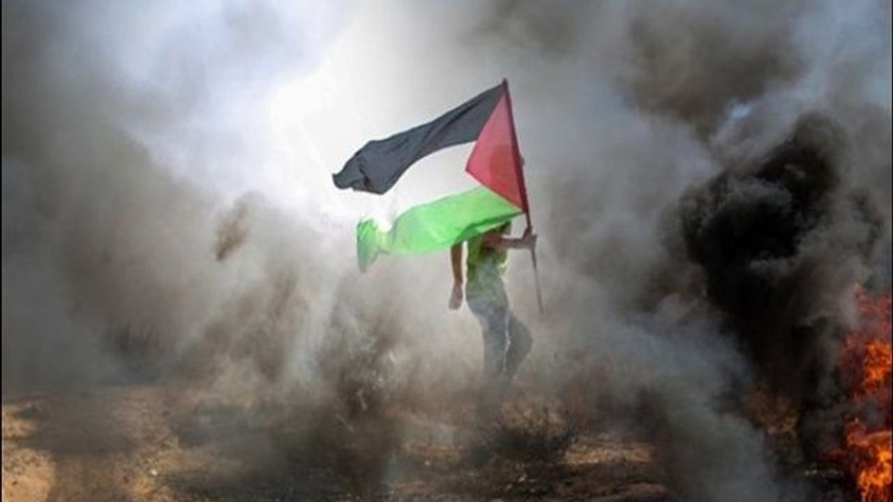 İnsanlığın vicdanı, İnançların Kalbi Filistin