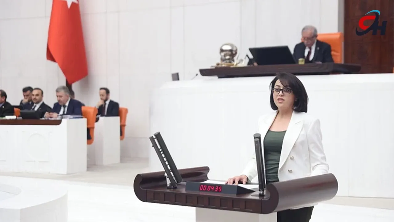 Milletvekili Bartın, Hakkari'nin yol sorununu meclis gündemine taşıdı