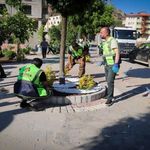 Çukurca’da peyzaj çalışmaları sürüyor, Başkan Demir ekiplere eşlik etti