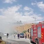 Hakkari’de Saman balyaları alevlere teslim oldu