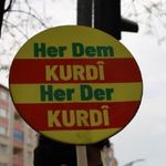 'Kürtçe için adım atılmalı!'