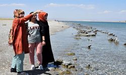 Yine bir Van Gölü Canavarı iddiası