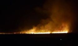 Yüksekova'da birçok kuş türünün yaşadığı Nehil Sazlığı alev alev yanıyor