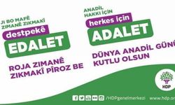 HDP'den Soylu'ya: Kongreler serbest, basın açıklaması mı yasak?