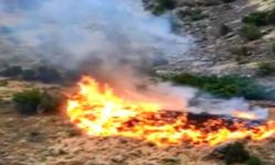 Hakkari’de asker kurşunu orman yangınına neden oldu