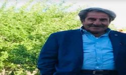 Hakkari eski milletvekili Naim Geylani hayatını kaybetti