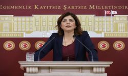 Beştaş: Türkiye özgürlük endeksinde Tanzanya ile yarışıyor