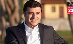 Demirtaş'tan 'Soğan yoksa TOGG var' etiketi: Olmuş mu Mahir?