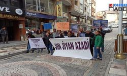 Hakkari kent kadın dayanışmasından '25 Kasım' etkinlikleri