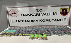 Hakkari'de kaçakçılık operasyonu 27 şüpheli yakalandı