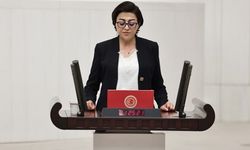 Milletvekili Bartın; Başkan Yardımcısı Zibek'i Bakan Yerlikaya'ya sordu