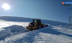 Hakkari'de üs bölgelerin ulaşımı için çalışmalar devam ediyor