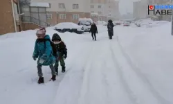 İki ilde okullara kar tatili