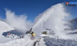 Hakkari'de 270 yerleşim yeri yolu ulaşıma açıldı