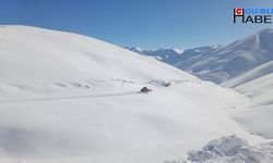 Hakkari'de aralıksız karla mücadele sonucunda 74 yerleşim yolu açıldı