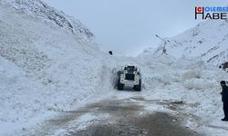 Hakkari'de kar afete dönüştü