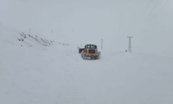 Hakkari'de yoğun kar yağışında 96 köy ve 202 mezra yolu kapandı