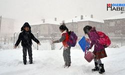 Yüksekova'da Çocukların kar eğlencesi, gençler halay çekti