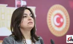 DEM Parti'den Başak Demirtaş'ın adaylık başvurusu açıklaması