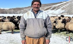 Hakkari’de İranlı Çoban İstihdam Edildi