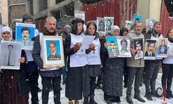 Hakkari'de kayıp yakınları adalet talebinde bulundu