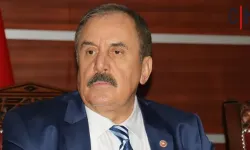 Eski Bakan Ensarioğlu Leyla Zana ve Efkan Ala'ya destek verdi