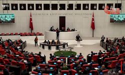 DEM Parti’li Temelli’den AKP’li Usta’ya: Kürt ‘kökenli’ değil, Kürt Milletvekilleri