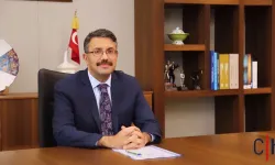 Hakkari Valisi Ali Çelik'in nevruz bayramı mesajı