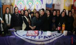 DEM Parti Çukurca'da 8 Mart Dünya Kadınlar günü etkinliği