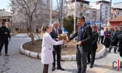 Vali Ali Çelik, Tıp Bayramını Kutladı
