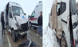 Van-Hakkari Karayolunda Minibüs ile Kamyonet Çarpıştı, 2 Kişi Yaralandı