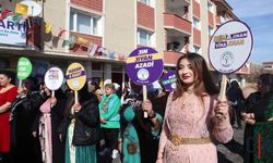 Hakkari'de 8 Mart Dünya Kadınlar Günü Etkinlikleri