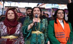 AK Parti'nin Hakkari'de 8 Mart Dünya Kadınlar Günü etkinliği