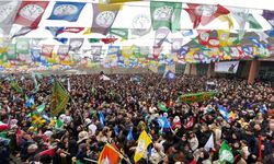 Hakkari'de Newroz halaylarla kutlandı