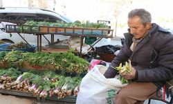 Hakkari’de Baharın Habercisi Bitkiler Tezgahları Süslüyor