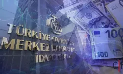 Merkez Bankası Paralarının Akıbeti: Nereye Gitti?