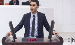 DEM Parti Hakkari Milletvekili Parlak, Çukurca'daki taciz olayını meclise taşıdı