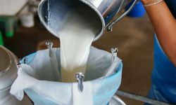 Çiğ süt üretiminde azalma yaşandı