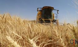 "TMO tüccara çalışıyor" .. 4 ayda 3 milyon tona yakın buğday ithal edildi