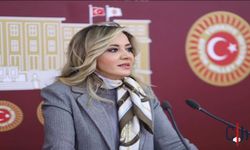 Aylin Cesur İYİ Parti'den Ayrıldı: İstifa Etti