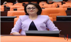 Hakkari Milletvekili Bartın, Çukurca Üzümlü Köyü'ndeki bozuk yolları Meclis'e taşıdı