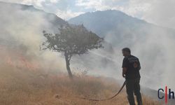 Hakkari'de Anız Yangını Zamanında Müdahale ile Kontrol Altına Alındı