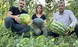 Hakkari'de Öğretmenlik ve Çiftçilikte Başarı:  Çakmakçı'nın Karpuz Hasadı