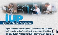 İŞKUR Hakkari’de Yeni İstihdam Programı Başlattı: 570 Kişi alınacak