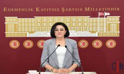 Hakkâri Milletvekili Öznur Bartın, Taşımalı Eğitim Sorunlarını Meclise Taşıdı