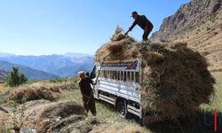 Hayvancılıkla Geçim Sağlayanlar, Kış İçin Hazırlıklara Başladı