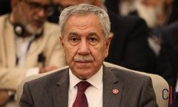 Arınç: Öcalan çağrı yapsın diyorsanız, bunun içini doldurmalısınız